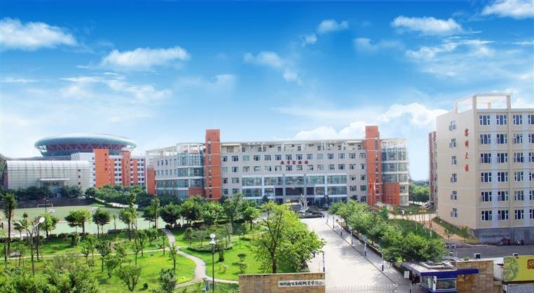 四川省卫生康复职业学院2019年的录取原则是什么