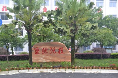 重庆沙坪坝区铁路学校去哪里比较好?