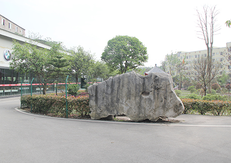 重庆轨道交通学校去哪里比较好?