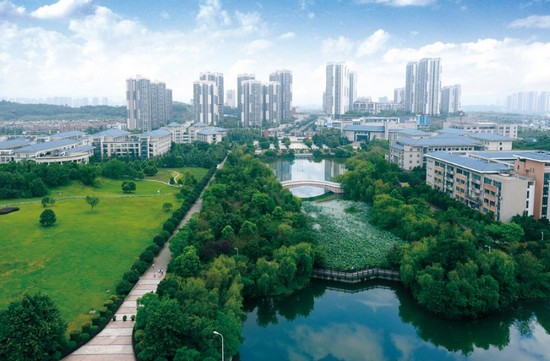 2019年重庆市师范大学招生录取分数线