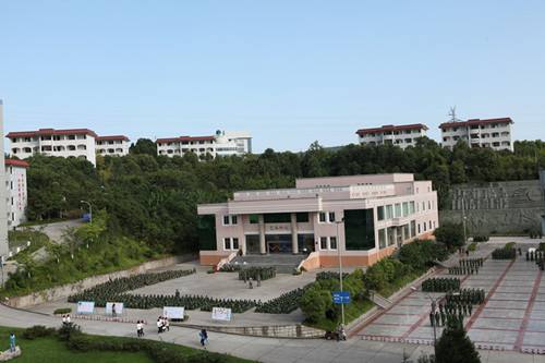 四川幼儿师范高等专科学校2019年招生计划